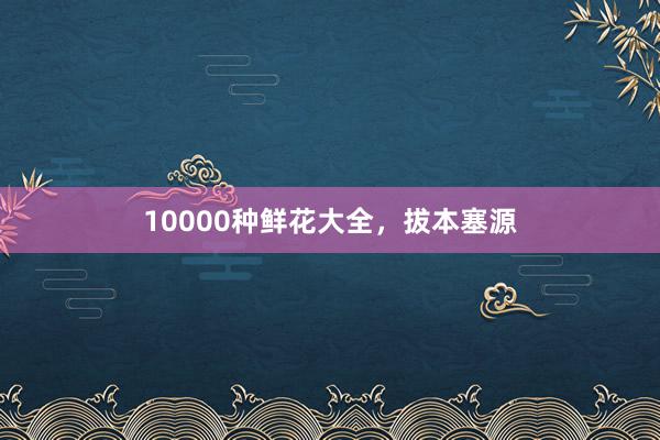 10000种鲜花大全，拔本塞源